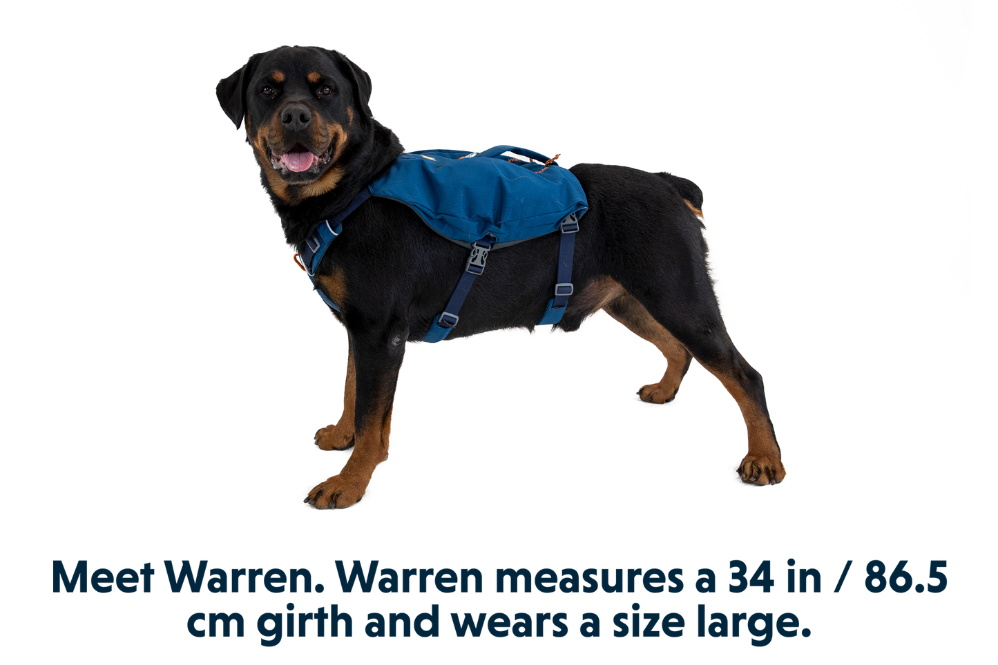 Switchbak™ Dog Harness