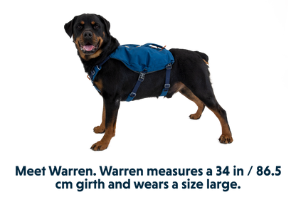 Switchbak™ Dog Harness