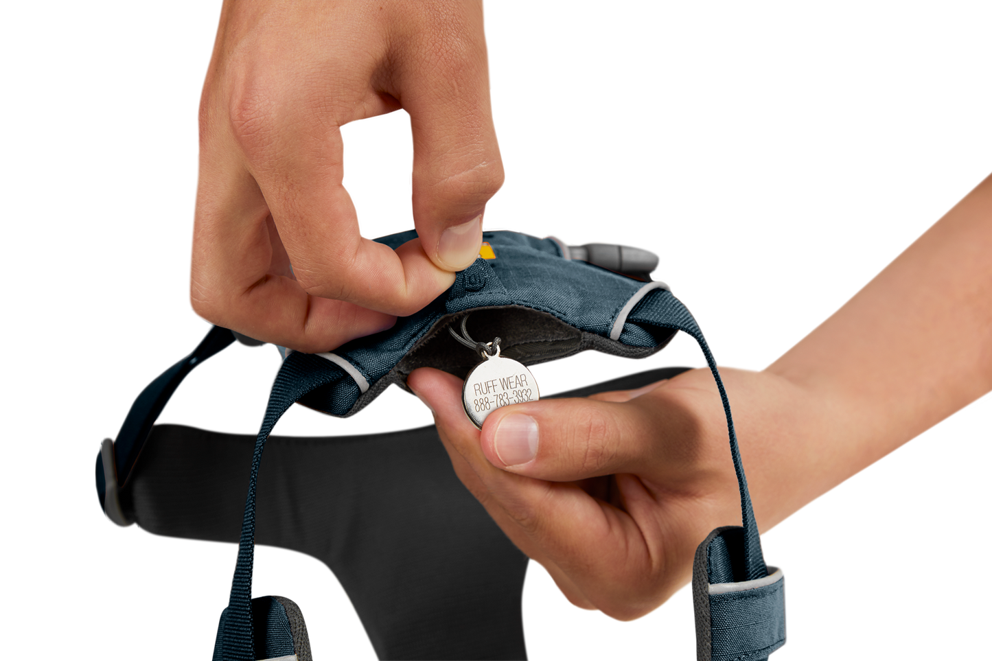 Front Range® Dog Harness