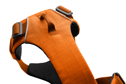 Front Range® Dog Harness