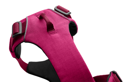 Front Range® Dog Harness