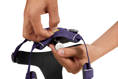 Front Range® Dog Harness