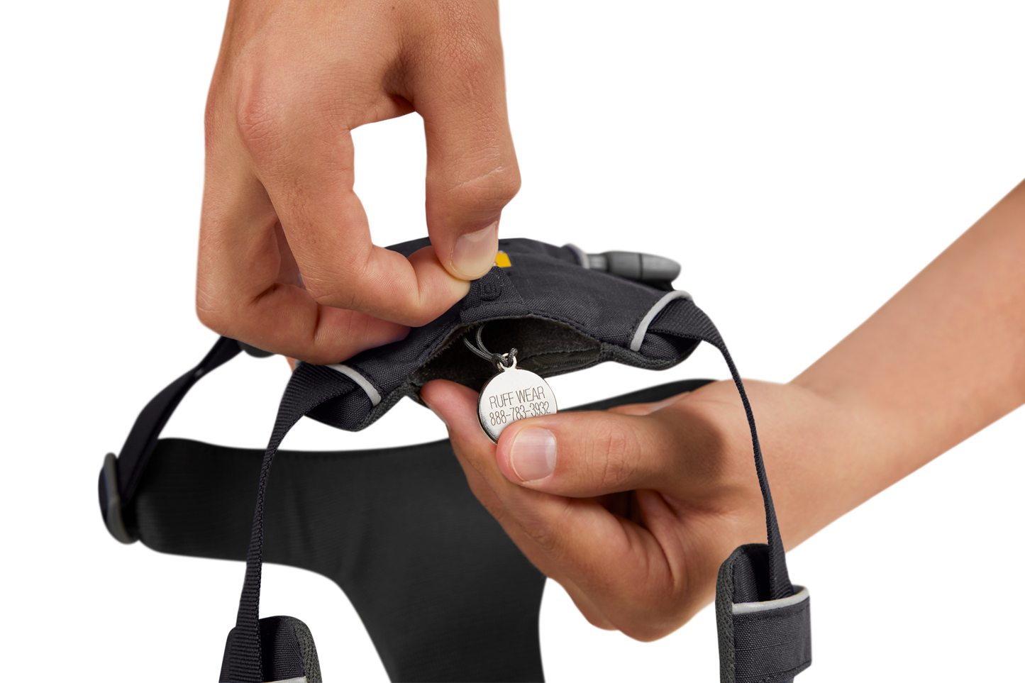 Front Range® Dog Harness