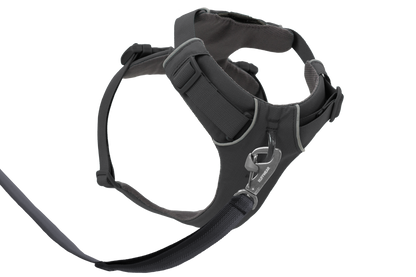Front Range® Dog Harness