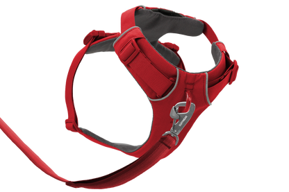 Front Range® Dog Harness