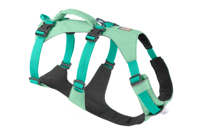 Flagline™ Dog Harness with Handle