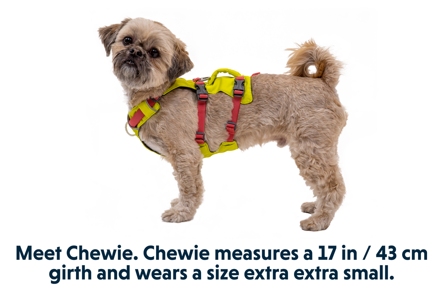 Flagline™ Dog Harness with Handle