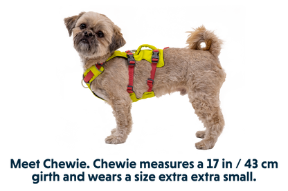 Flagline™ Dog Harness with Handle