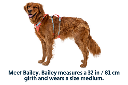 Flagline™ Dog Harness with Handle