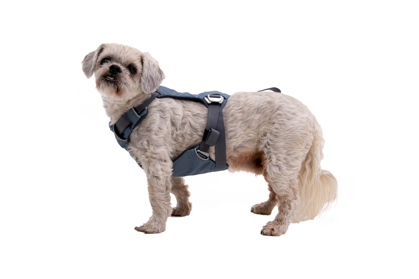 Load Up™ Dog Car Harness
