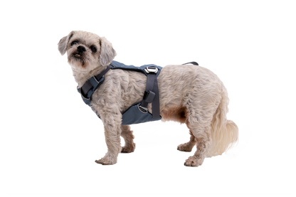 Load Up™ Dog Car Harness