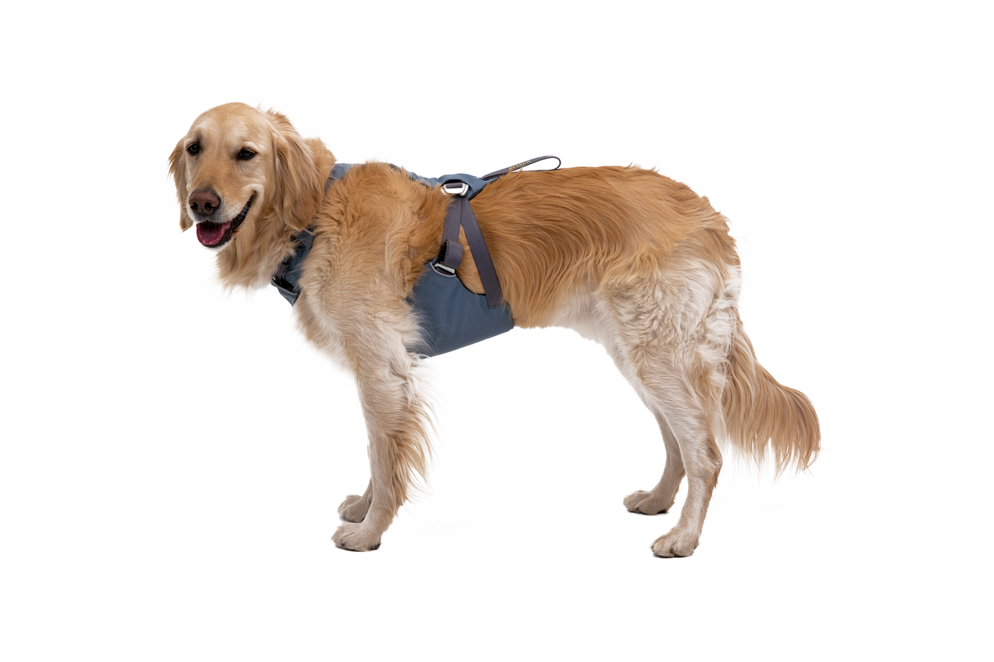 Load Up™ Dog Car Harness
