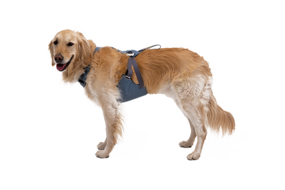 Load Up™ Dog Car Harness