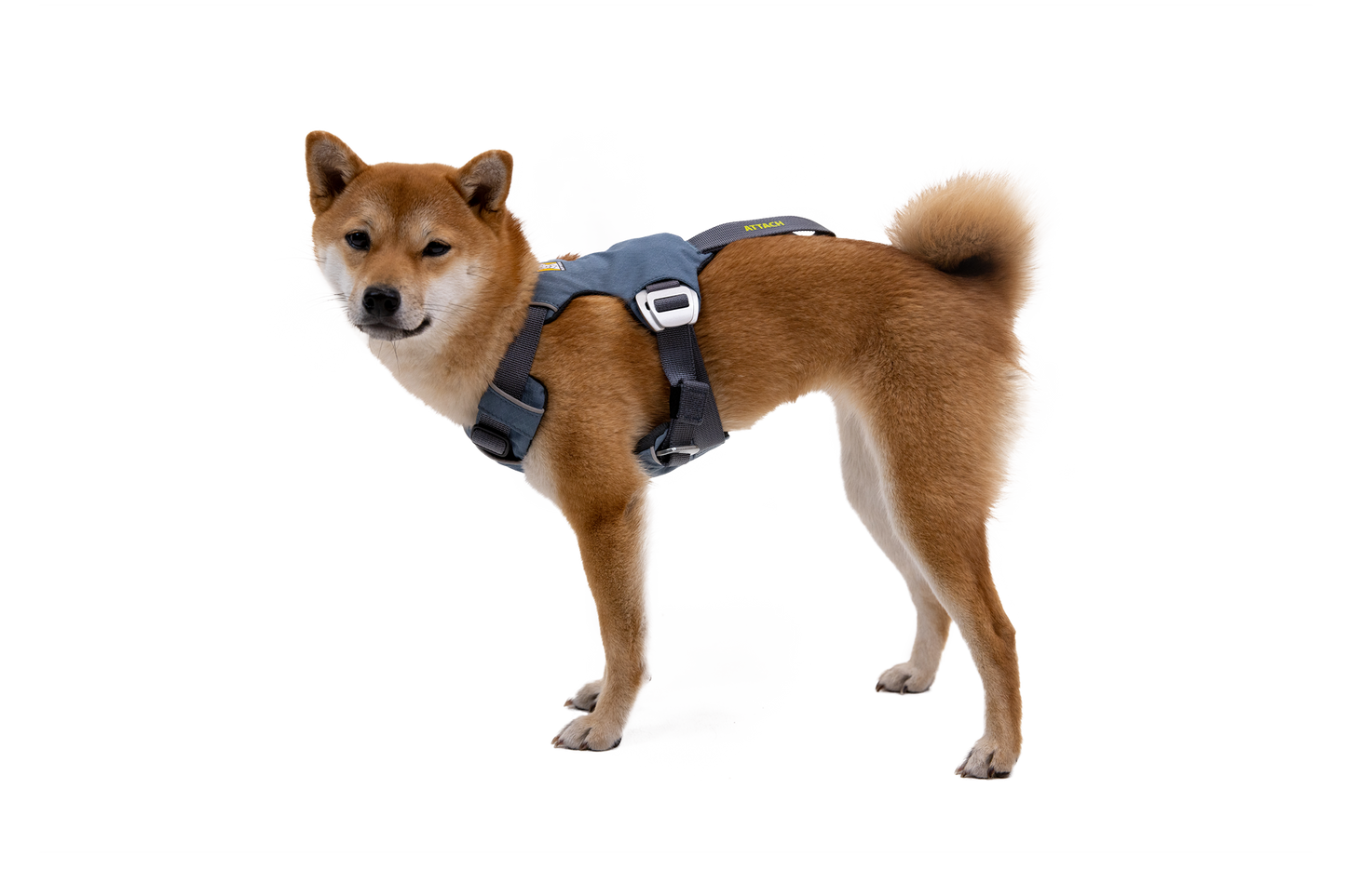 Load Up™ Dog Car Harness