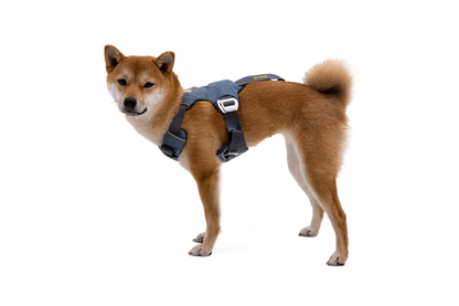 Load Up™ Dog Car Harness