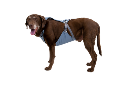 Load Up™ Dog Car Harness