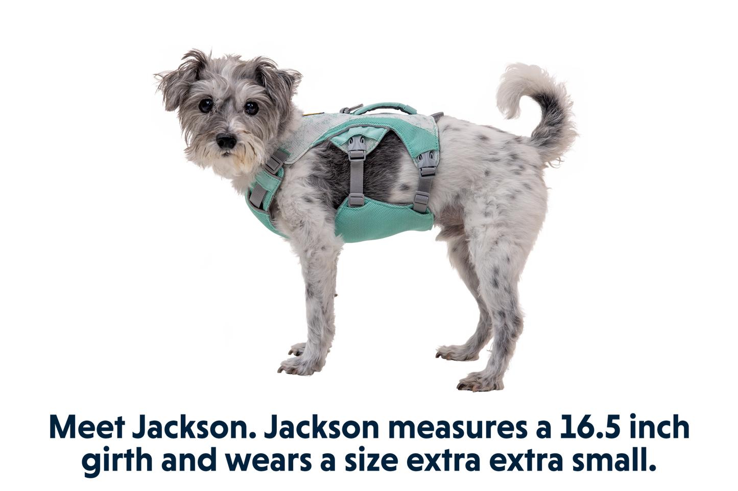Swamp Cooler™ Harness