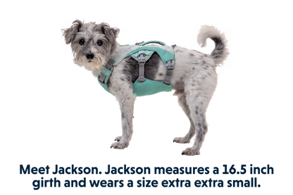 Swamp Cooler™ Harness
