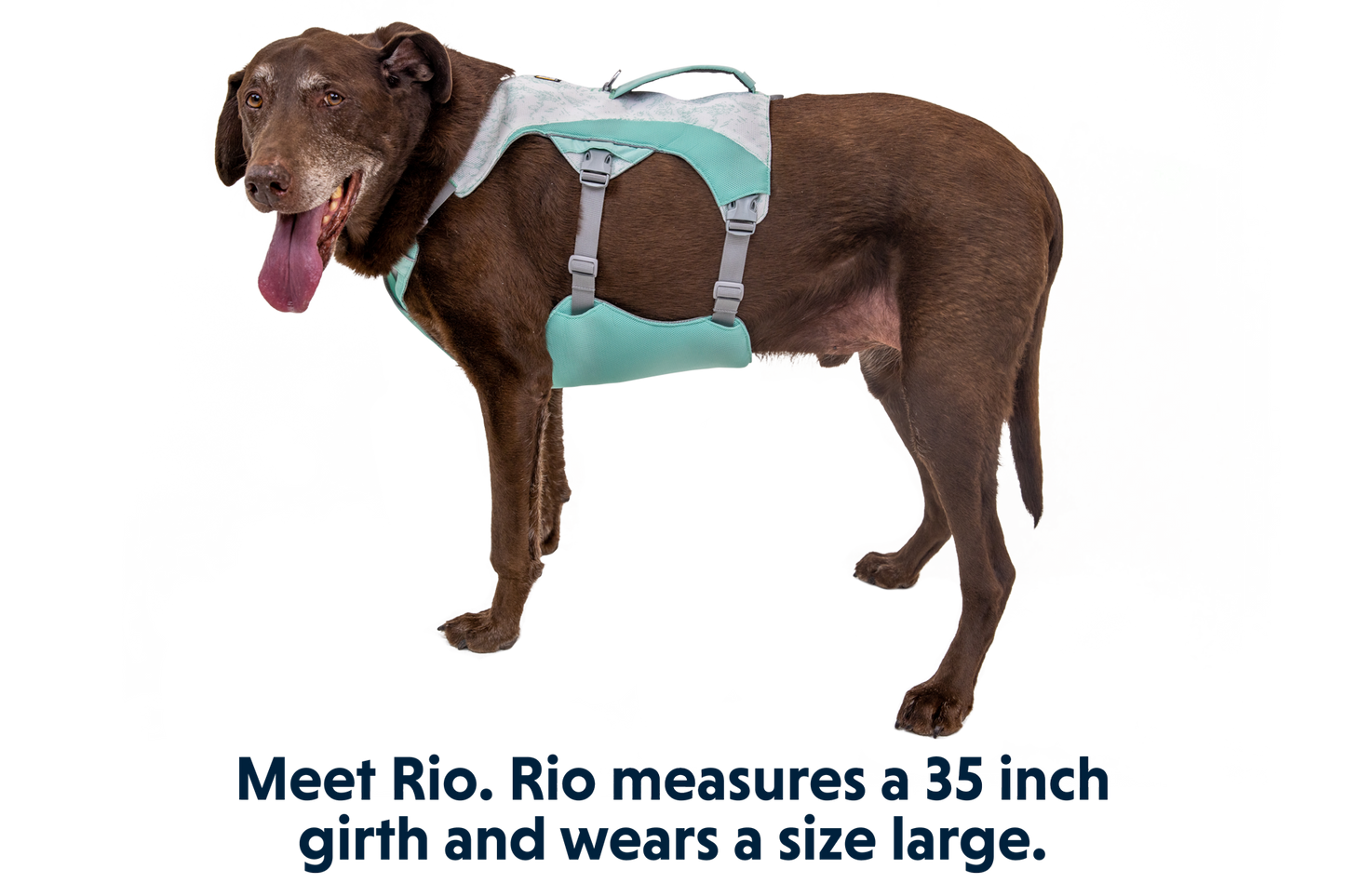 Swamp Cooler™ Harness