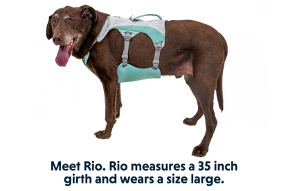 Swamp Cooler™ Harness