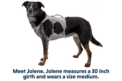 Swamp Cooler™ Harness