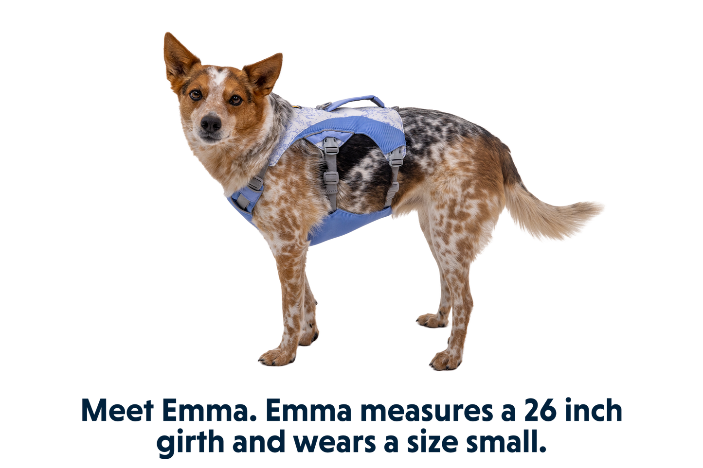 Swamp Cooler™ Harness