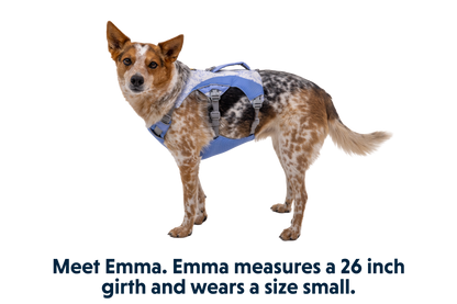 Swamp Cooler™ Harness