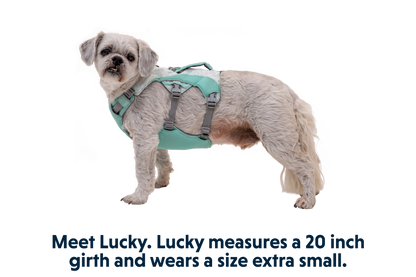Swamp Cooler™ Harness