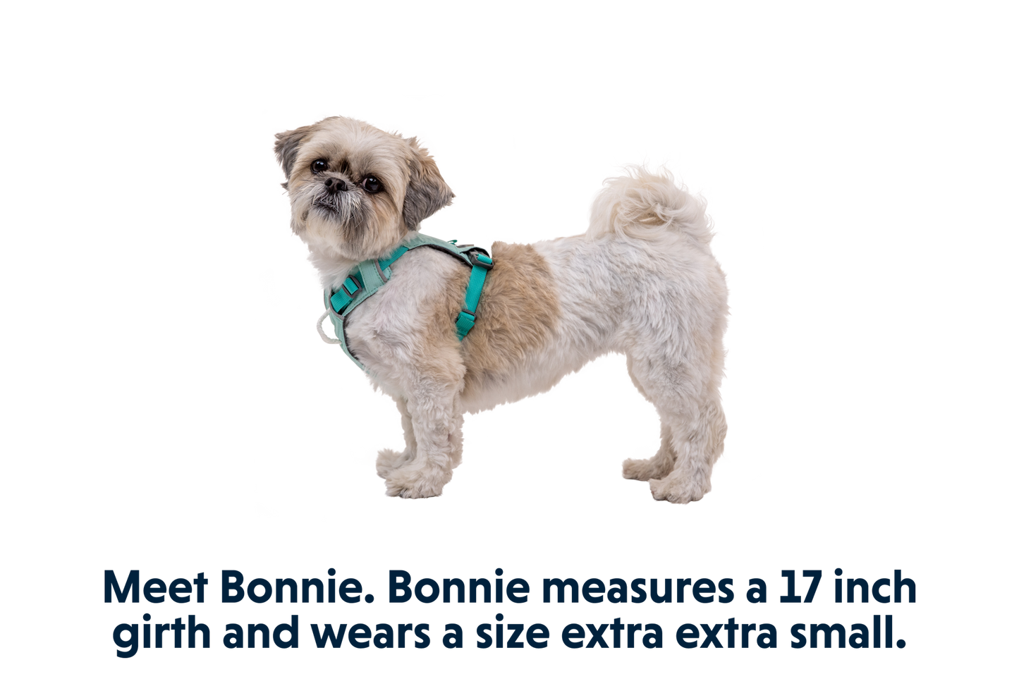 Hi & Light™ Lightweight Dog Harness
