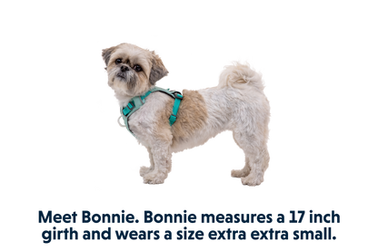 Hi & Light™ Lightweight Dog Harness