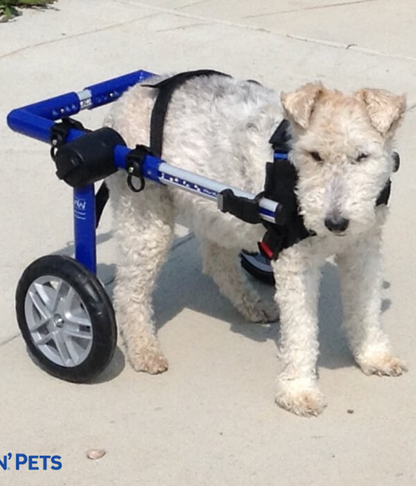 Walkin Wheels® MEDIUM Rear Dog Wheelchair (11 to 30kg)