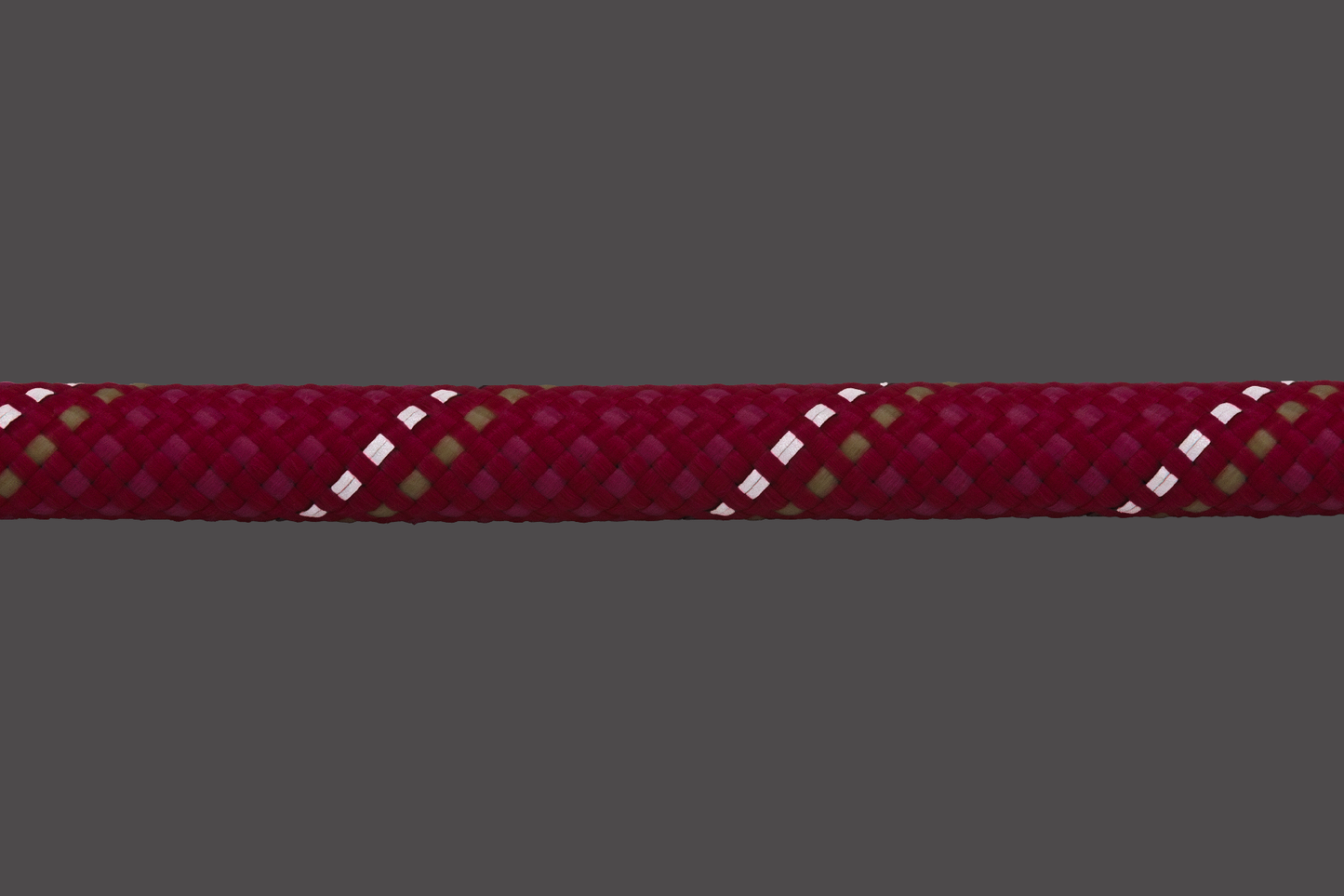 Just-a-Cinch™ Dog Lead