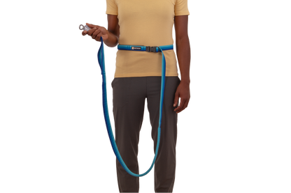 Roamer™ Bungee Dog Running Lead