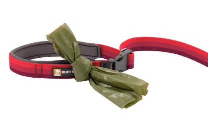 Roamer™ Bungee Dog Running Lead