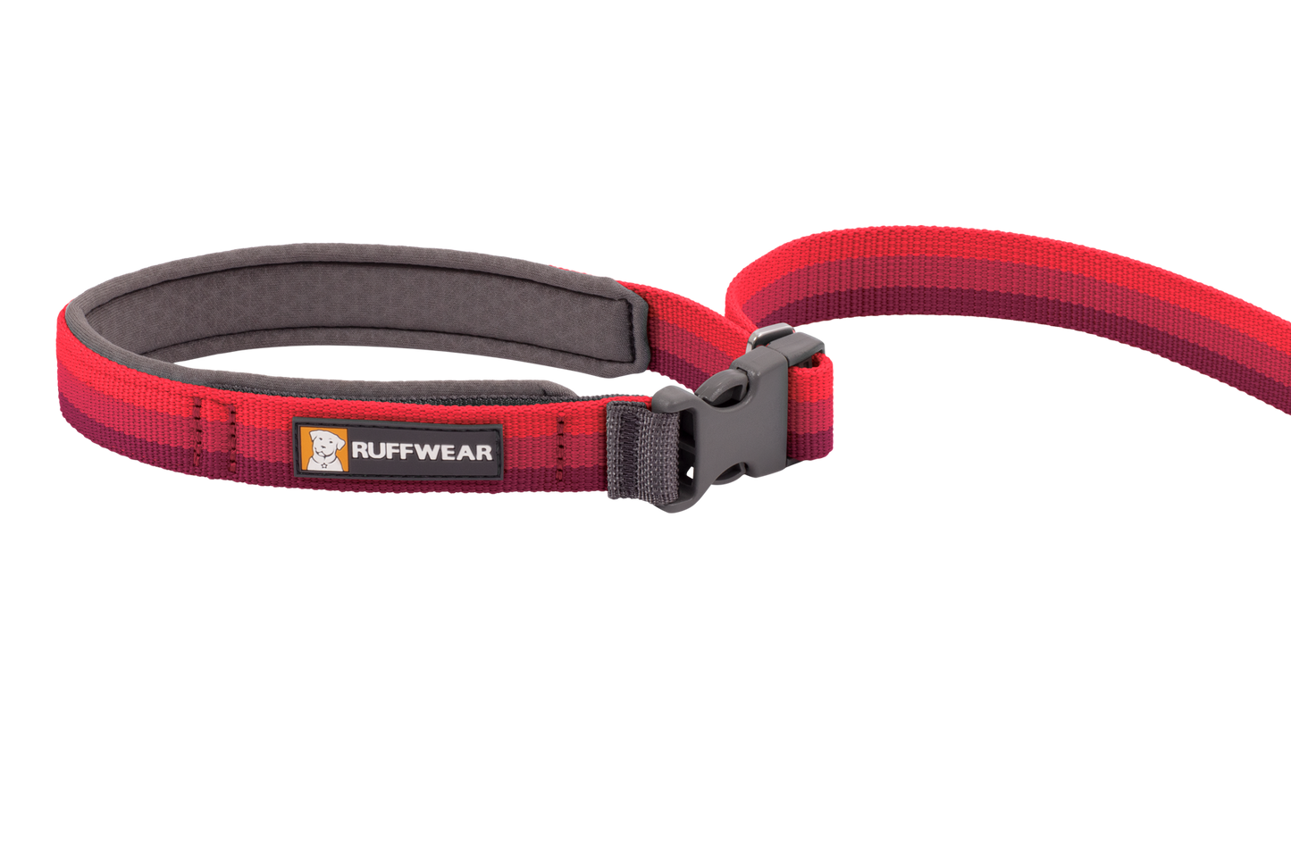 Roamer™ Bungee Dog Running Lead