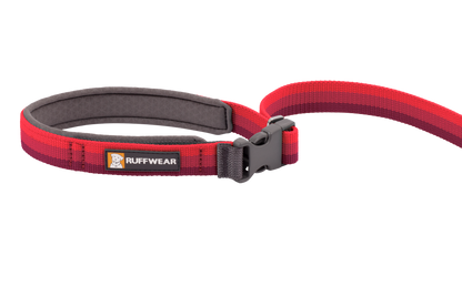 Roamer™ Bungee Dog Running Lead
