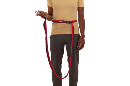 Roamer™ Bungee Dog Running Lead