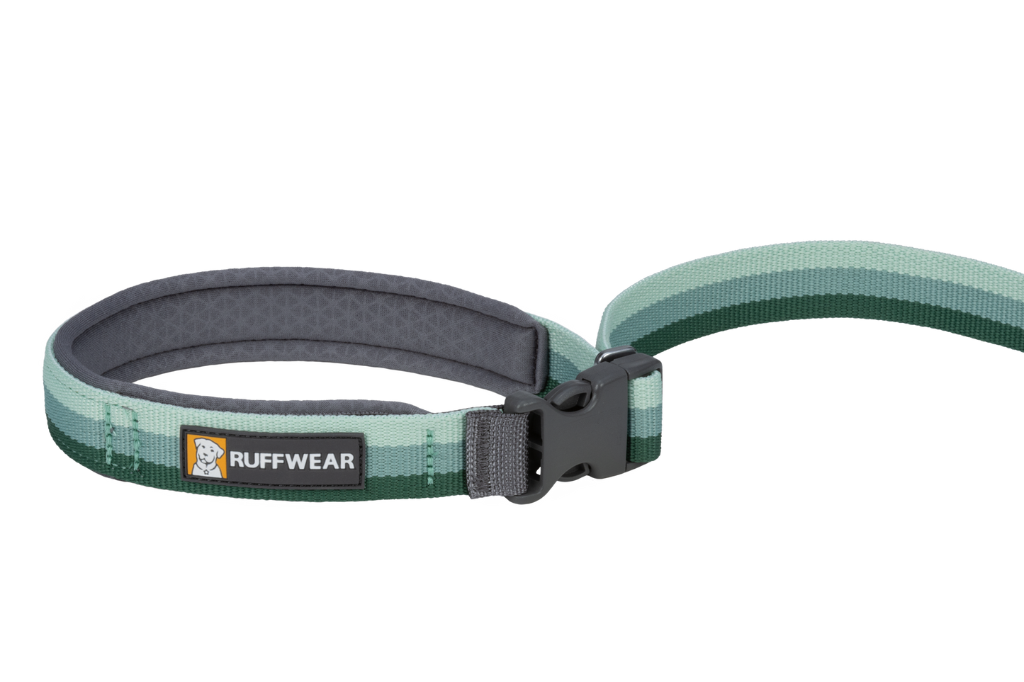 Roamer™ Bungee Dog Lead