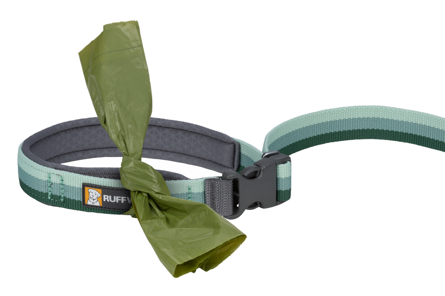 Roamer™ Bungee Dog Lead