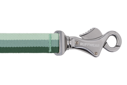 Roamer™ Bungee Dog Lead