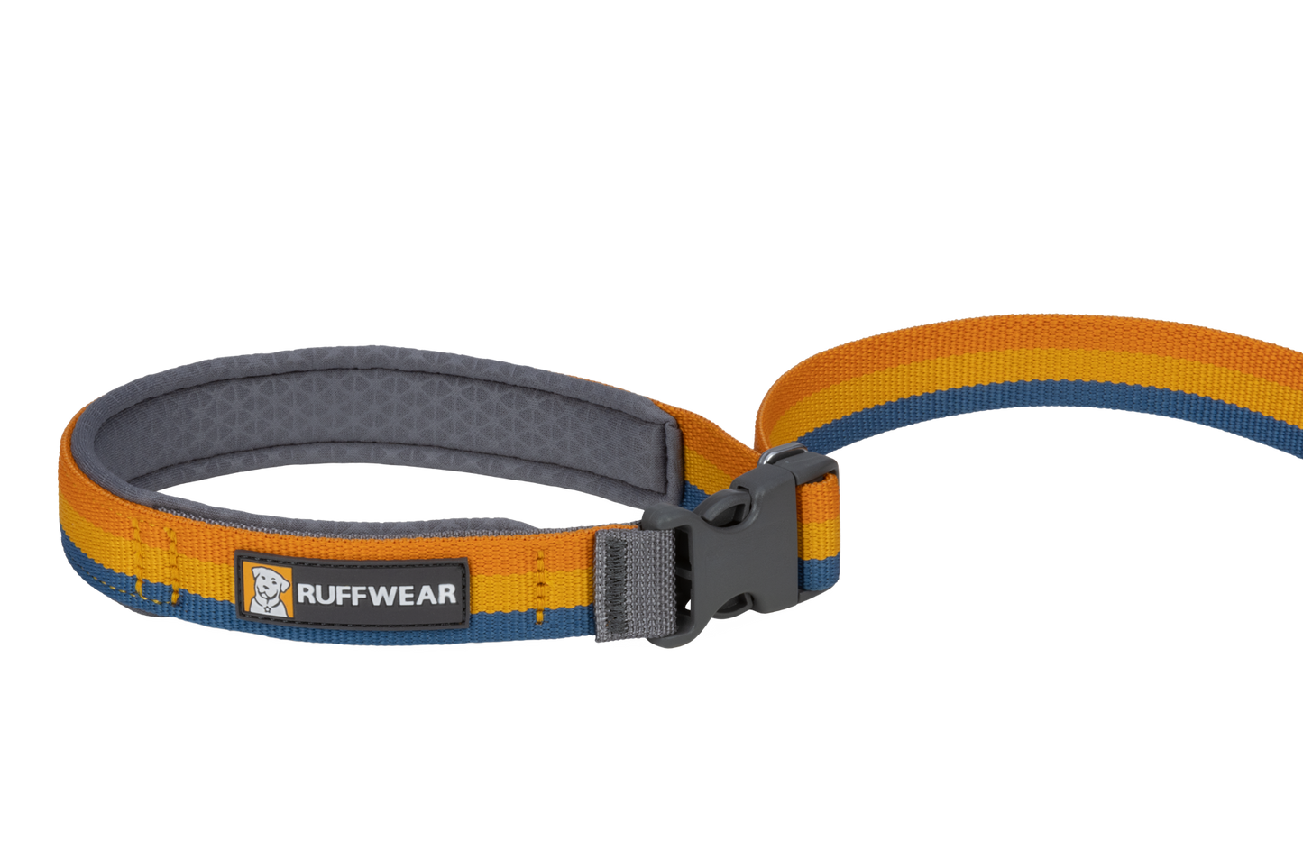 Roamer™ Bungee Dog Lead