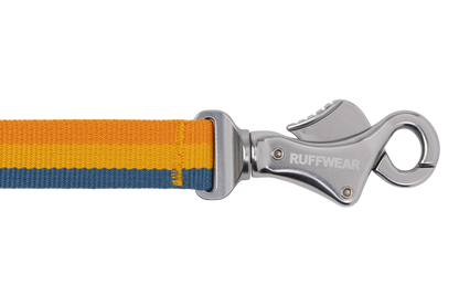 Roamer™ Bungee Dog Lead