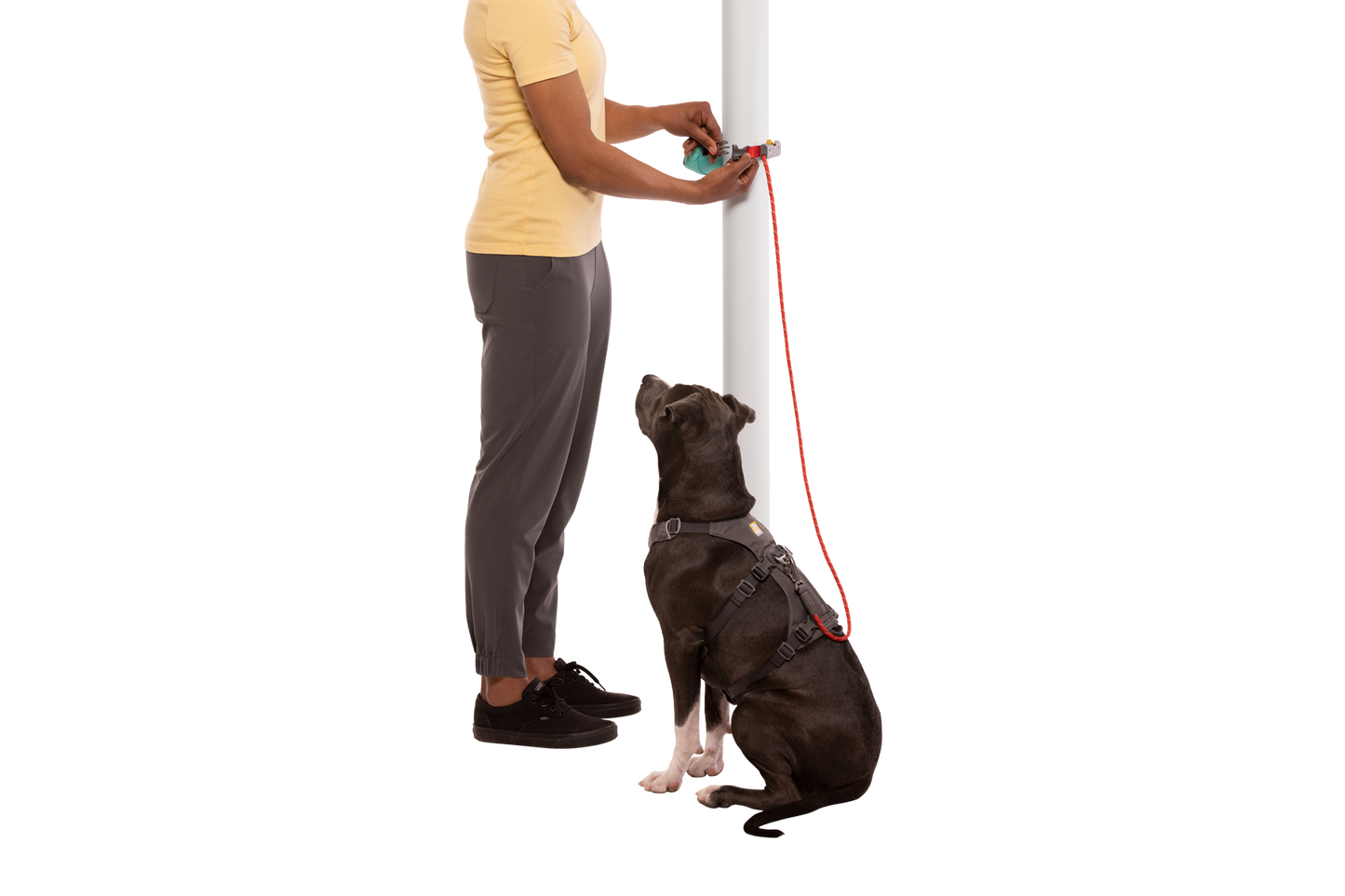 Hitch Hiker™ Leash