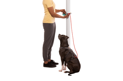 Hitch Hiker™ Leash