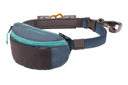 Hitch Hiker™ Leash