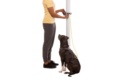 Hitch Hiker™ Leash