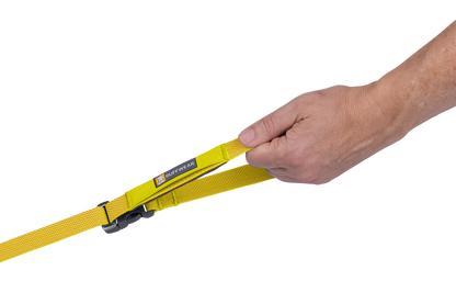 Flagline™ Dog Lead