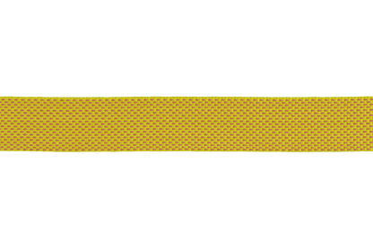 Flagline™ Dog Lead