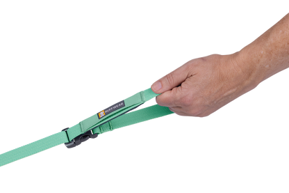 Flagline™ Dog Lead