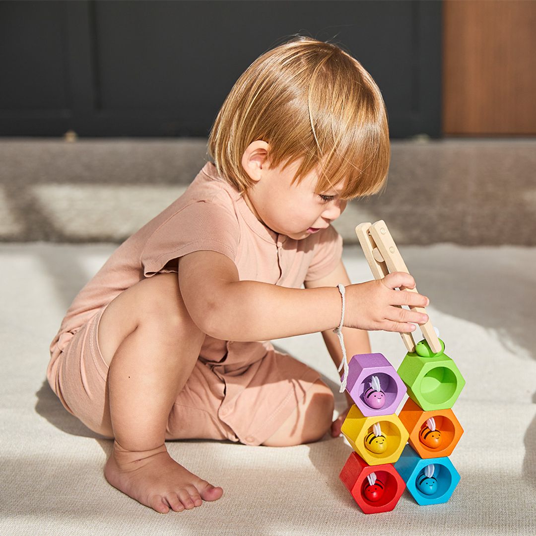 PlanToys Beehives